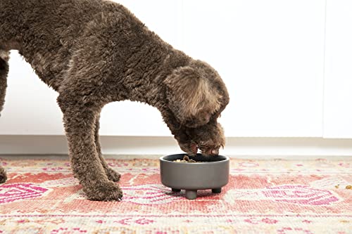 Uplift Ceramic Dog Bowl for Small Medium and Large Breeds (Small / Teracotta)