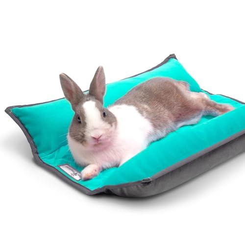 Snuggle Bunny Bolster Bed (Gray/Green)