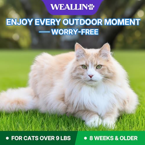 Flea and Tick Prevention for Large Cat