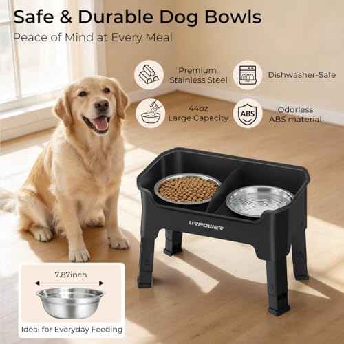 Mess Proof Elevated Dog Bowls (Black / Medium)
