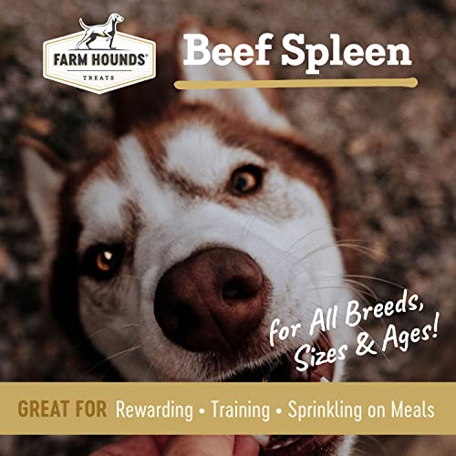 Beef Spleen Premium Natural Beef Spleen Jerky For Dogs (4 Ounce (Pack of 1))