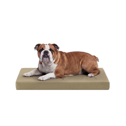 Tough Ripstop Orthopedic Crate Bed (Medium (35" L x 22" W x 3" H) / Sage Green)