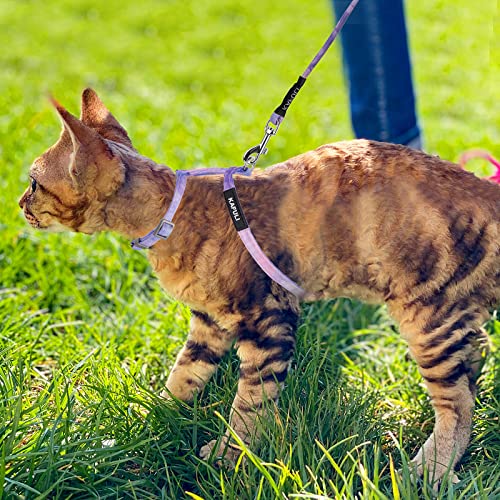 Cat Harness and Leash Set (Gradient Purple)