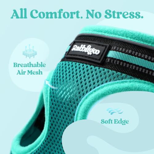 Cat Harness and Leash Set (S / Turquoise & Green)
