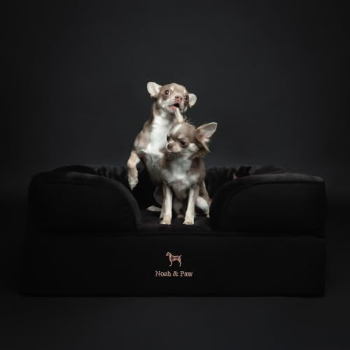 Dog Bed Orthopedic Memory Cooling Foam (Black - DE / Medium)