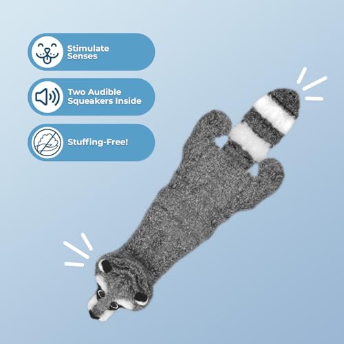 2-in-1 Stuffless Squeaky Dog Toy - Raccoon, Large (Grey/Raccoon / Large)