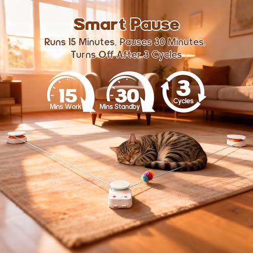 Interactive Cat Toy for Indoor Cat (H1K2)