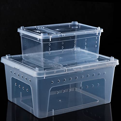 2 Pack Reptile Box Escape