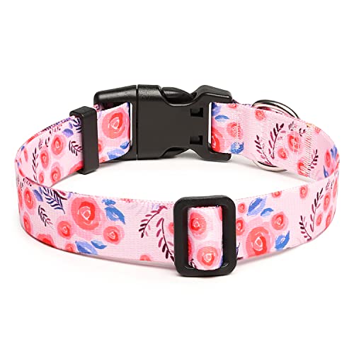 Adjustable Dog Collar (Medium / Rose)