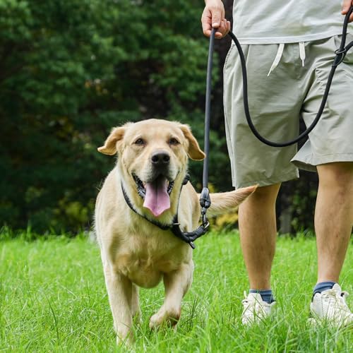 Rope Dog Leash (Blue / 4FT*0.51" Single Handle)
