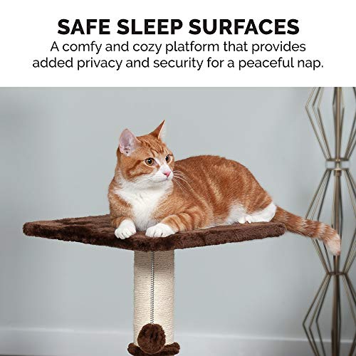 22.5" Tall Cat Tree for Indoor Cats (Cat Tower / Scratching Post Playground (Brown))
