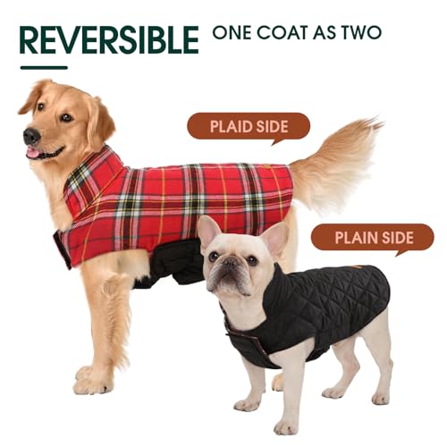 Waterproof Dog Coat (Bright Red / Large (Pack of 1))
