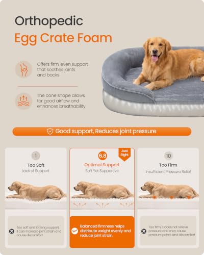 Orthopedic Dog Bed (XL: 41"L x 27.2"W x 7"Th / Light Gray)