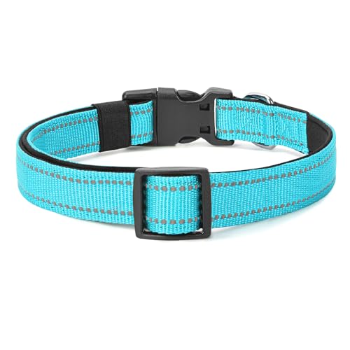 Reflective Dog Collar (Sky Blue / S:width 5/8"neck 10.5-16")