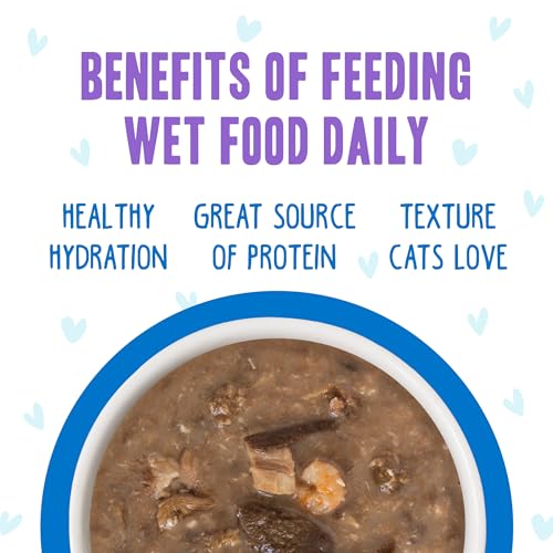 B.F.F. OMG Best Feline Friend Oh My Gravy! (2.8 Ounce (Pack of 12))