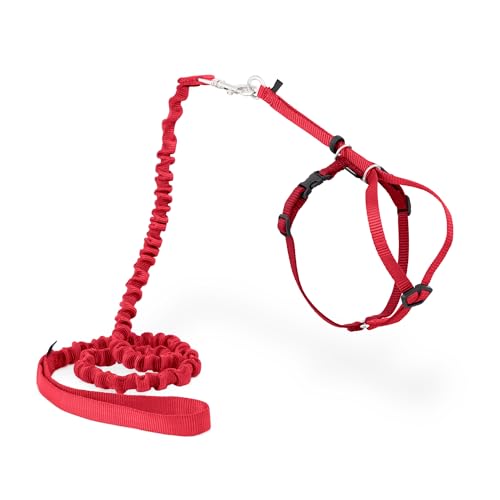 Come With Me Kitty Harness and Bungee Leash (Small (Pack of 1) / Red)
