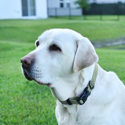 Biothane Waterproof Dog Collar with Quick Release Buckle Strong Coated Nylon Webbing with Odor (1"W by 15-25"L / Sage Green)