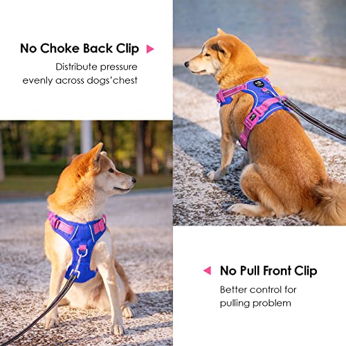 No Pull Dog Harness (Royal Blue Base & Pink Straps / Medium)