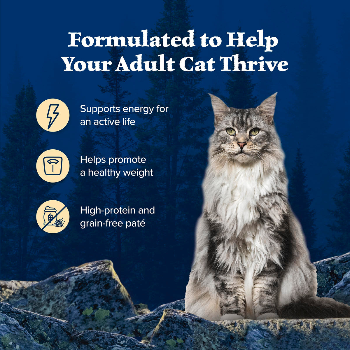 Wilderness Variety Pack Adult Paté Wet Cat Food (5.5 Ounce (Pack of 12))