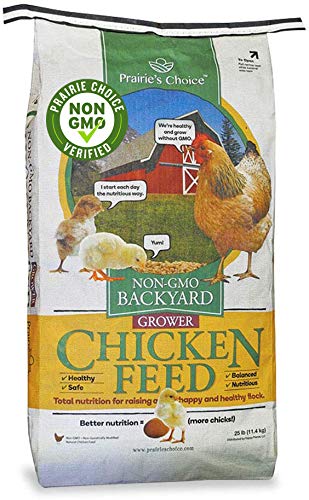 Non GMO Backyard Chicken Feed