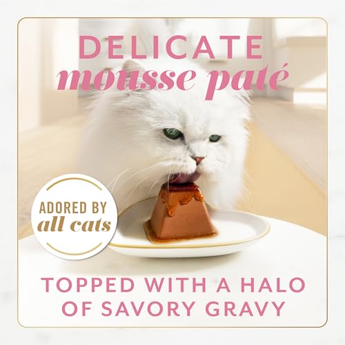 Purina Fancy Feast Gems Salmon Wet Cat Food (4 Ounce (Pack of 8))