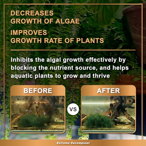 PLUS BIO XD Extreme Decomposer Nitrifying Bacteria for Freshwater and Saltwater Fish Tank 16.9 Ounces (16.9 oz)