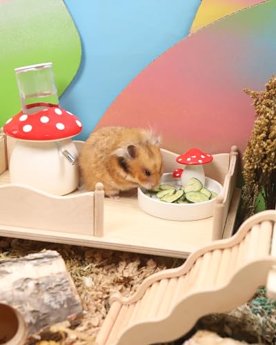 Hamster Snack & Treats Toy