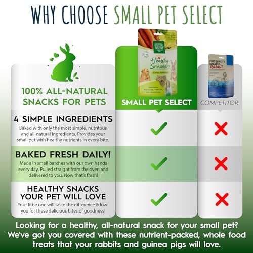 Healthy Snackers (2 Ounce (Pack of 1))