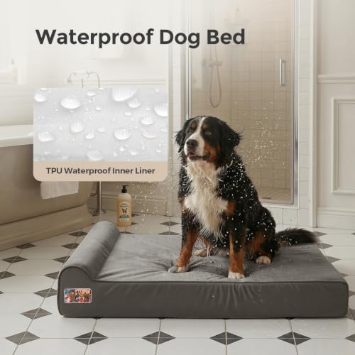 Orthopedic Dog Beds for Large Dogs (X-large / Dark Grey)
