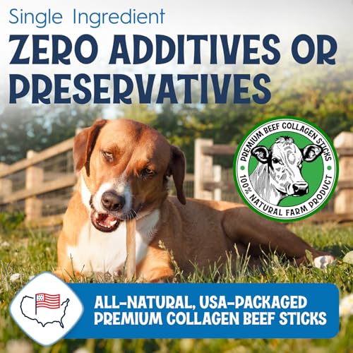 Collagen Bully Stick for Dogs (1 Count (Pack of 20))