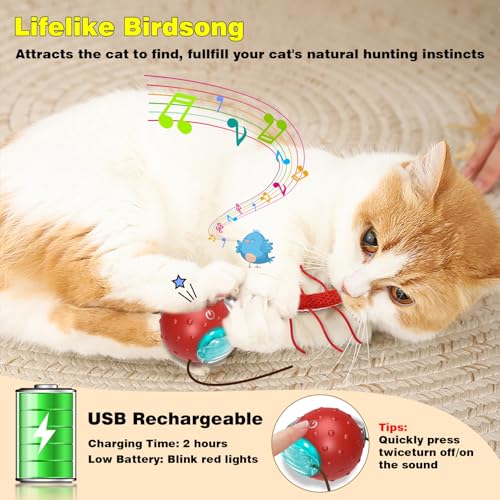 Interactive Cat Toys for Indoor Cats (Red)