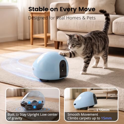Pet Camera Robot with Treat Dispenser & Laser (Blue)