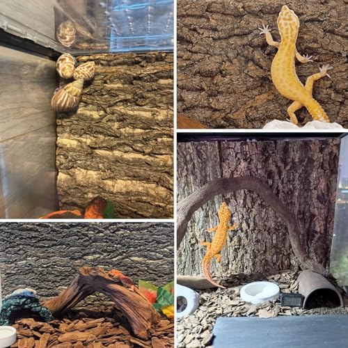 Cork Terrarium Background 11.8x7.9in 4PCS Natural Reptile Cork Bark Flats Terrarium Board Bearded Dragon Climbing Wall Mat Tank Accessories Decor for Lizard Chamelon Snake Spider Crested Gecko (4PCS-11.8x7.9in)