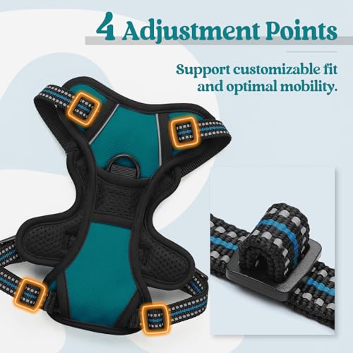 Dog Harness No Pull for Small Dogs with 2 Leash Clips (X-Small / Blue Coral)
