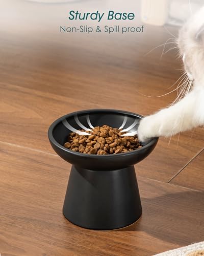 2 Pack Elevated Cat Food Bowls (Black)