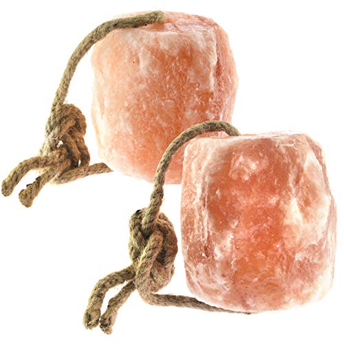 Himalayan Salt Lick 6 lbs on Rope for Horse (6 Pound (Pack of 2))