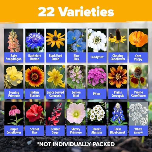Texas Wildflower Mix 131
