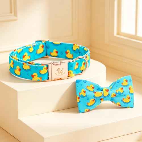 Boy Dog Collar (Duck / Large (Pack of 1))