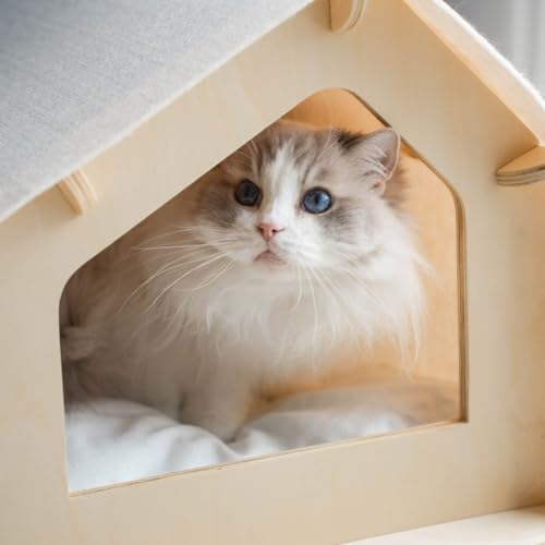 Cat House Covered Indoor Pet Bed with Cushion & Scratcher (Cream / XL)