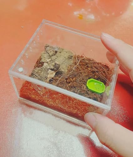 Insect breeding Box Reptile Feeding Box (3.9*3.3*2.3inch)