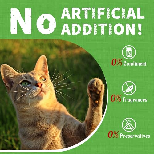 Cat Grass Jerky Treats for Indoor Cats (1 Pound (Pack of 1))