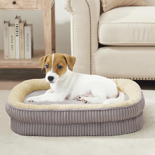 Orthopedic Dog Bed for Small Dogs Breeds (Gray / 25"L x 21"W x 5.5"Th)