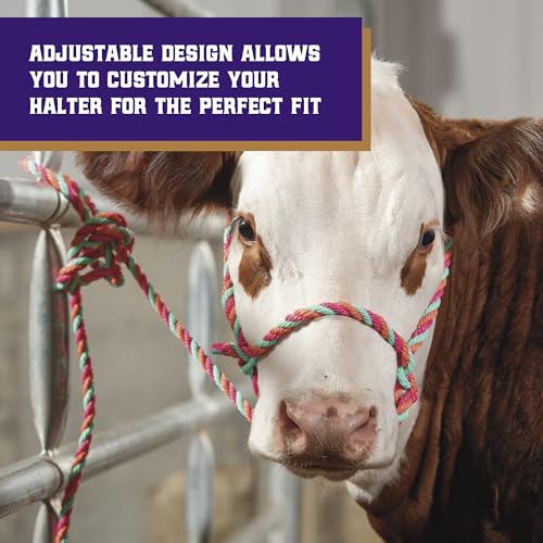 Braided Poly Rope Cattle Halter