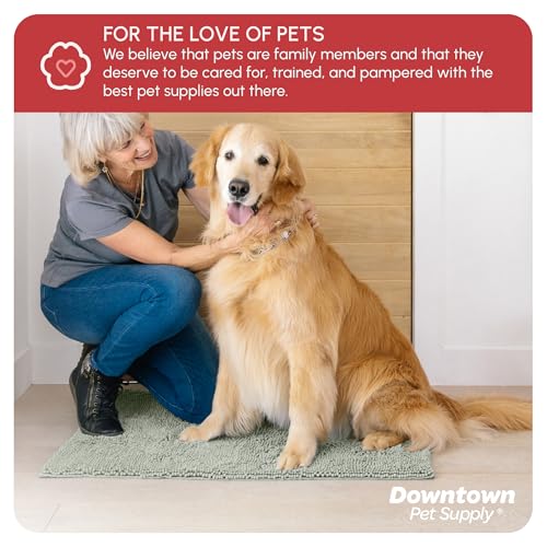 Dog Mud Mat 36" x 26" Light Gray (36" x 26" / Light Gray)