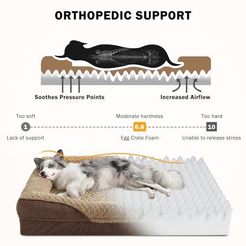 Orthopedic Dog Beds Large Sized (XL (42"x 32"x 7.5") / Brown)