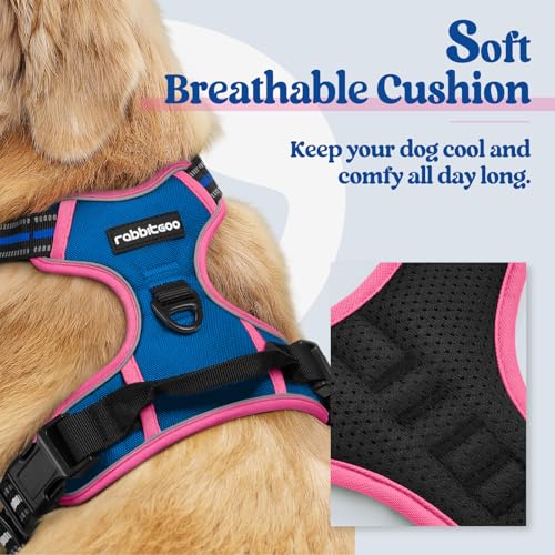 Dog Harness No Pull for Small Dogs with 2 Leash Clips