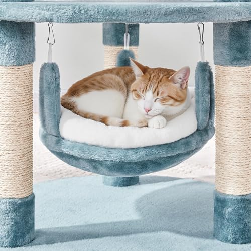 Cute Shark Cat Tree for Kittens