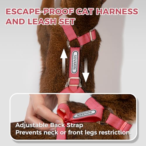 Cat Harness and Leash Set (Red)