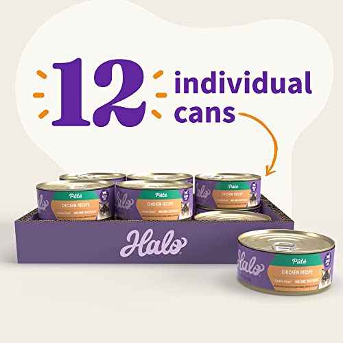 Pate Wet Cat Food