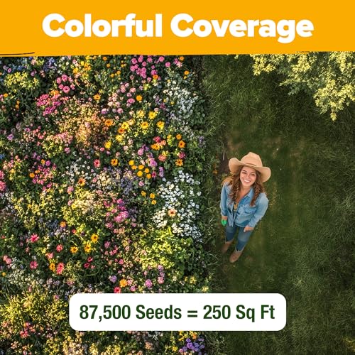 Texas Wildflower Mix 87